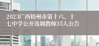 2023广西梧州市第十六、十七中学公开选调教师35人公告