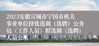 2023安徽宣城市宁国市机关事业单位择优选调（选聘）公务员（工作人员）拟选调（选聘）人员公示