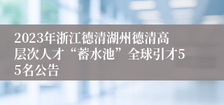 2023年浙江德清湖州德清高层次人才“蓄水池”全球引才55名公告