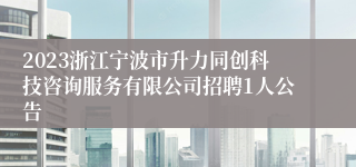 2023浙江宁波市升力同创科技咨询服务有限公司招聘1人公告