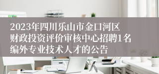 2023年四川乐山市金口河区财政投资评价审核中心招聘1名编外专业技术人才的公告