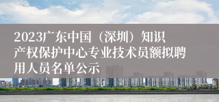 2023广东中国（深圳）知识产权保护中心专业技术员额拟聘用人员名单公示