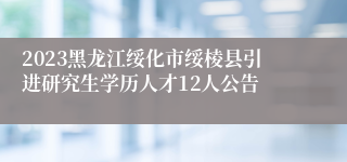 2023黑龙江绥化市绥棱县引进研究生学历人才12人公告