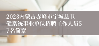 2023内蒙古赤峰市宁城县卫健系统事业单位招聘工作人员57名简章