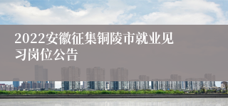 2022安徽征集铜陵市就业见习岗位公告