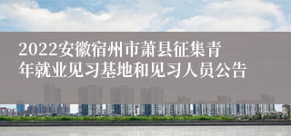 2022安徽宿州市萧县征集青年就业见习基地和见习人员公告