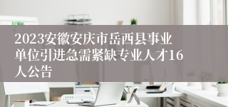 2023安徽安庆市岳西县事业单位引进急需紧缺专业人才16人公告