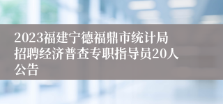 2023福建宁德福鼎市统计局招聘经济普查专职指导员20人公告