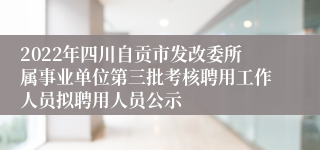 2022年四川自贡市发改委所属事业单位第三批考核聘用工作人员拟聘用人员公示
