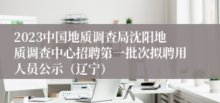 2023中国地质调查局沈阳地质调查中心招聘第一批次拟聘用人员公示（辽宁）