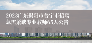 2023广东揭阳市普宁市招聘急需紧缺专业教师65人公告