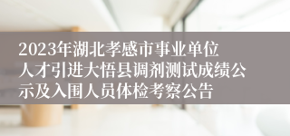 2023年湖北孝感市事业单位人才引进大悟县调剂测试成绩公示及入围人员体检考察公告