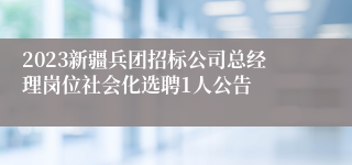 2023新疆兵团招标公司总经理岗位社会化选聘1人公告