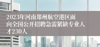 2023年河南郑州航空港区面向全国公开招聘急需紧缺专业人才230人