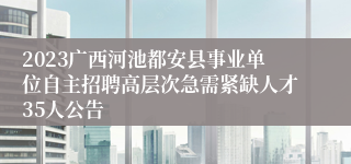 2023广西河池都安县事业单位自主招聘高层次急需紧缺人才35人公告