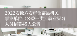 2022安徽六安市金寨县机关事业单位（公益一类）就业见习人员招募45人公告