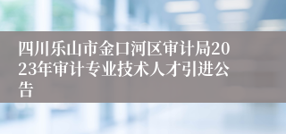 四川乐山市金口河区审计局2023年审计专业技术人才引进公告