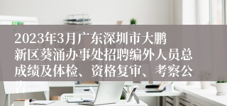 2023年3月广东深圳市大鹏新区葵涌办事处招聘编外人员总成绩及体检、资格复审、考察公告