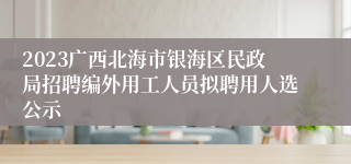 2023广西北海市银海区民政局招聘编外用工人员拟聘用人选公示