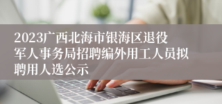 2023广西北海市银海区退役军人事务局招聘编外用工人员拟聘用人选公示
