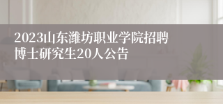 2023山东潍坊职业学院招聘博士研究生20人公告