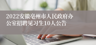 2022安徽亳州市人民政府办公室招聘见习生10人公告