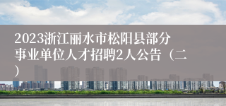 2023浙江丽水市松阳县部分事业单位人才招聘2人公告（二）