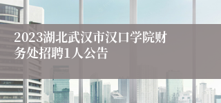 2023湖北武汉市汉口学院财务处招聘1人公告