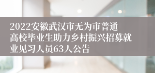 2022安徽武汉市无为市普通高校毕业生助力乡村振兴招募就业见习人员63人公告