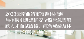 2023云南曲靖市富源县能源局招聘引进煤矿安全监管急需紧缺人才面试成绩、综合成绩及体检、考察有关事项公告