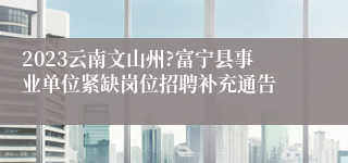 2023云南文山州?富宁县事业单位紧缺岗位招聘补充通告