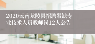 2020云南龙陵县招聘紧缺专业技术人员教师岗12人公告