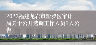 2023福建龙岩市新罗区审计局关于公开选调工作人员1人公告