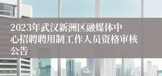 2023年武汉新洲区融媒体中心招聘聘用制工作人员资格审核公告