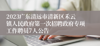 2023广东清远市清新区禾云镇人民政府第一次招聘政府专项工作聘员7人公告