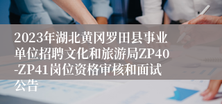 2023年湖北黄冈罗田县事业单位招聘文化和旅游局ZP40-ZP41岗位资格审核和面试公告