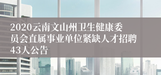 2020云南文山州卫生健康委员会直属事业单位紧缺人才招聘43人公告