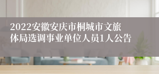 2022安徽安庆市桐城市文旅体局选调事业单位人员1人公告