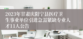 2023年甘肃庆阳宁县医疗卫生事业单位引进急需紧缺专业人才11人公告