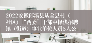 2022安徽郎溪县从全县村（社区）“两委”干部中择优招聘镇（街道）事业单位人员5人公告