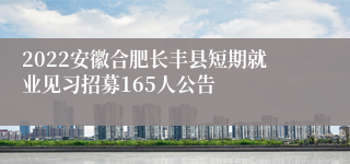 2022安徽合肥长丰县短期就业见习招募165人公告