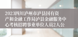 2023四川泸州市泸县国有资产和金融工作局泸县金融服务中心考核招聘事业单位人员2人公告