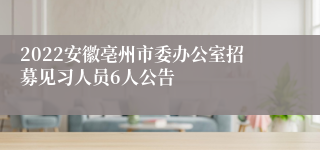 2022安徽亳州市委办公室招募见习人员6人公告