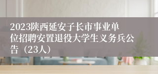 2023陕西延安子长市事业单位招聘安置退役大学生义务兵公告（23人）