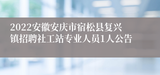 2022安徽安庆市宿松县复兴镇招聘社工站专业人员1人公告