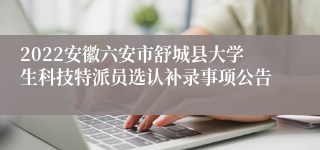 2022安徽六安市舒城县大学生科技特派员选认补录事项公告