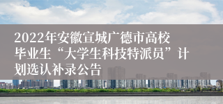 2022年安徽宣城广德市高校毕业生“大学生科技特派员”计划选认补录公告