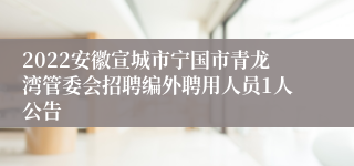 2022安徽宣城市宁国市青龙湾管委会招聘编外聘用人员1人公告