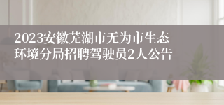 2023安徽芜湖市无为市生态环境分局招聘驾驶员2人公告 