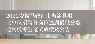 2022安徽马鞍山市当涂县事业单位招聘各岗位达到最低分数控制线考生笔试成绩及公告